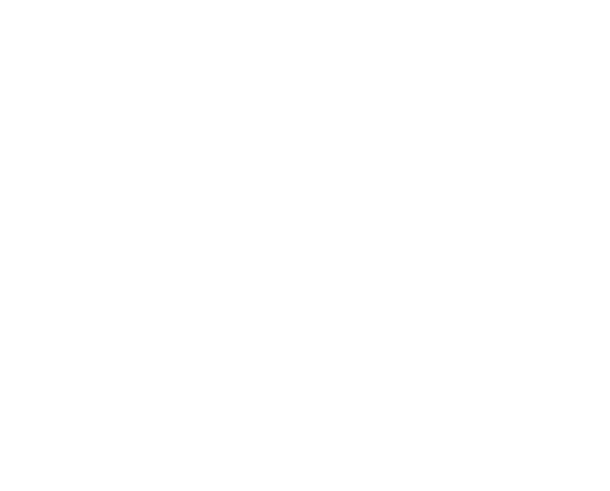 NorthStar_Logo_PNG-04